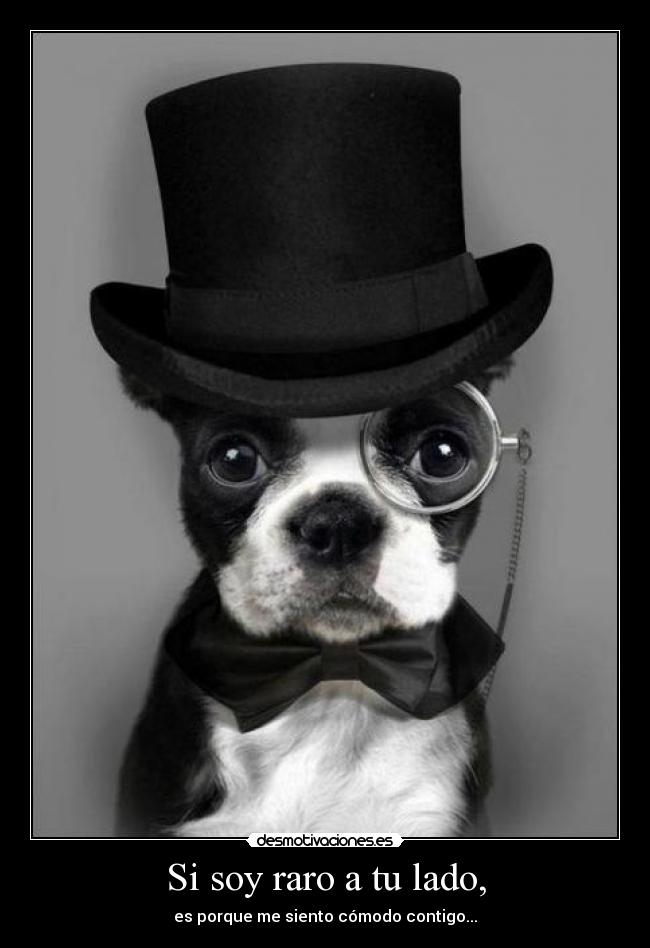 Si soy raro a tu lado, -