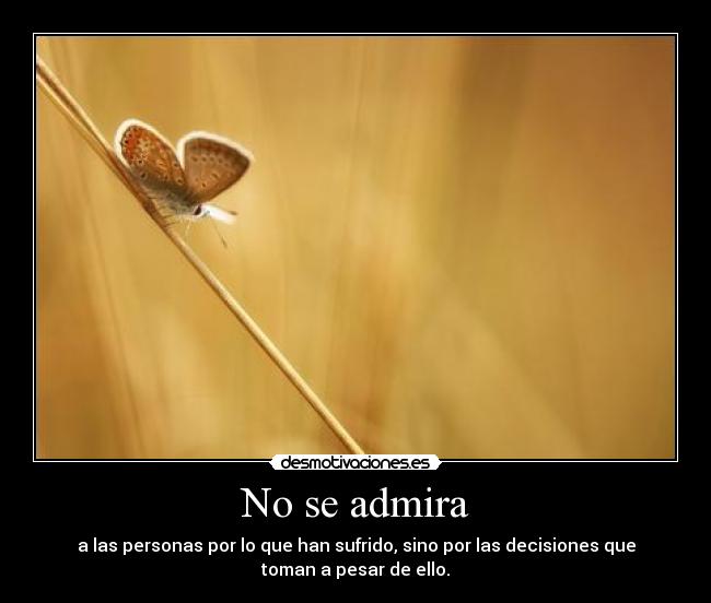 No se admira - 