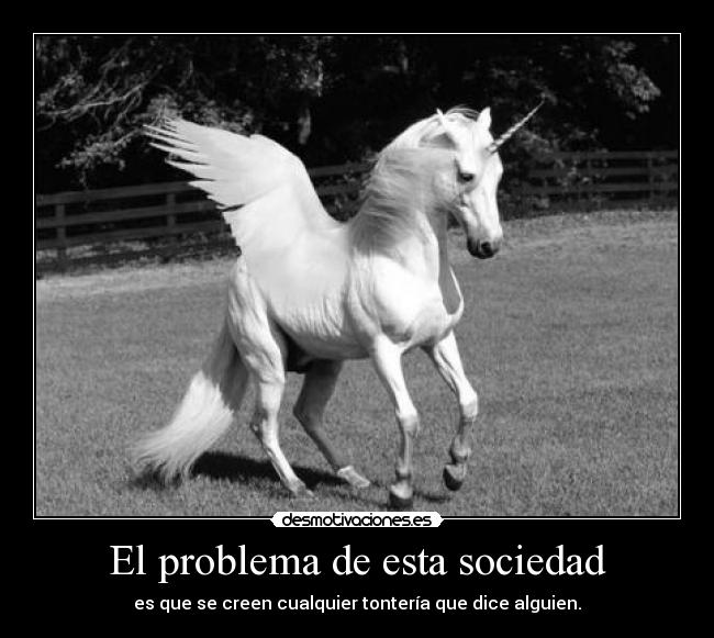 El problema de esta sociedad - es que se creen cualquier tontería que dice alguien.