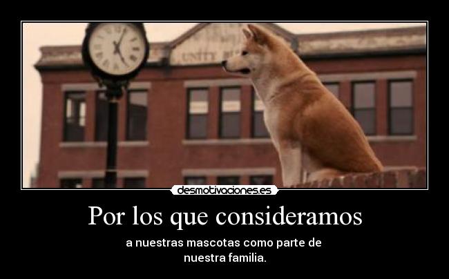 Por los que consideramos - a nuestras mascotas como parte de
nuestra familia.