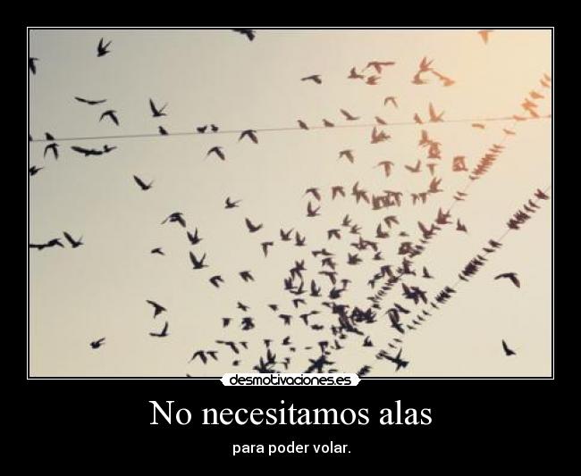 No necesitamos alas -