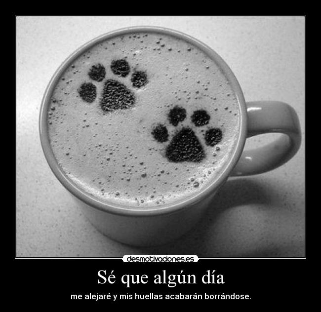 Sé que algún día - me alejaré y mis huellas acabarán borrándose.