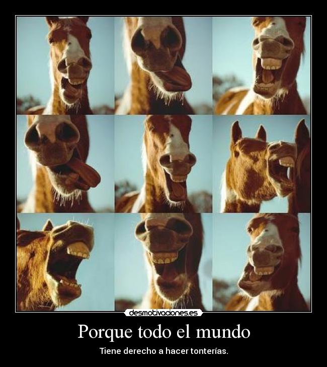 Porque todo el mundo - 