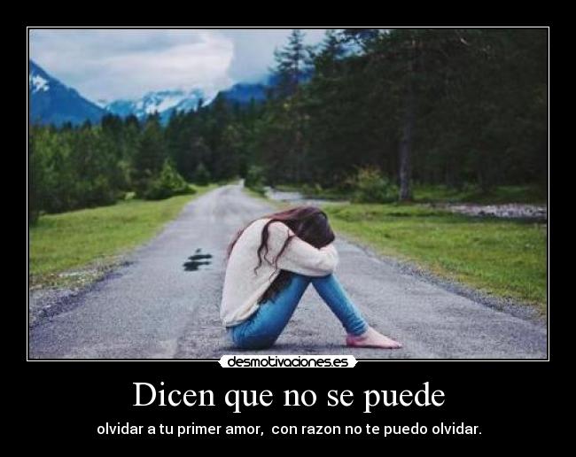 Dicen que no se puede -