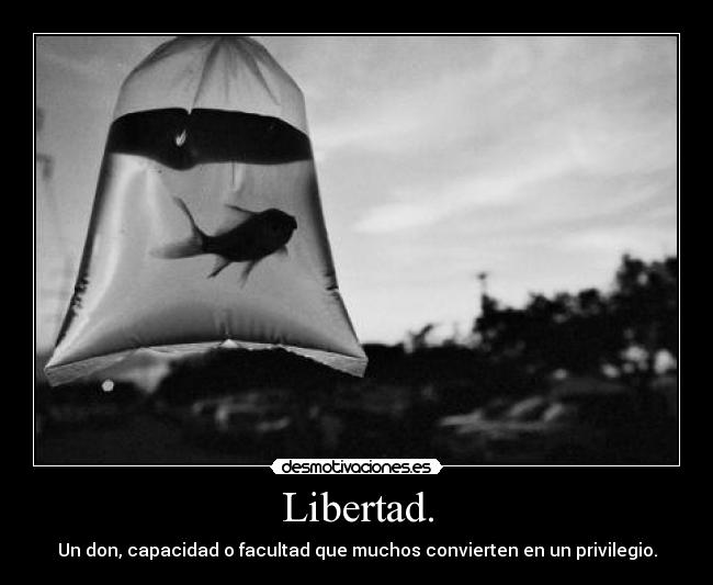 Libertad. - Un don, capacidad o facultad que muchos convierten en un privilegio.