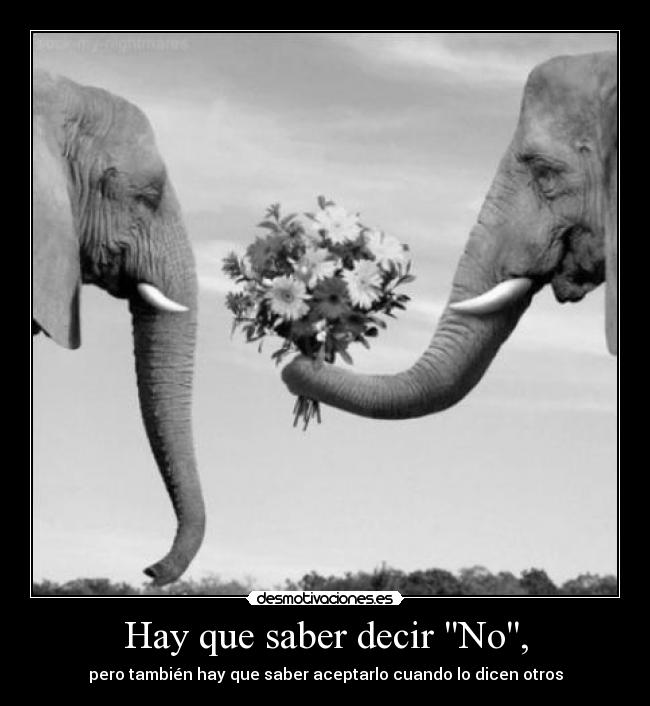 Hay que saber decir No, - pero también hay que saber aceptarlo cuando lo dicen otros