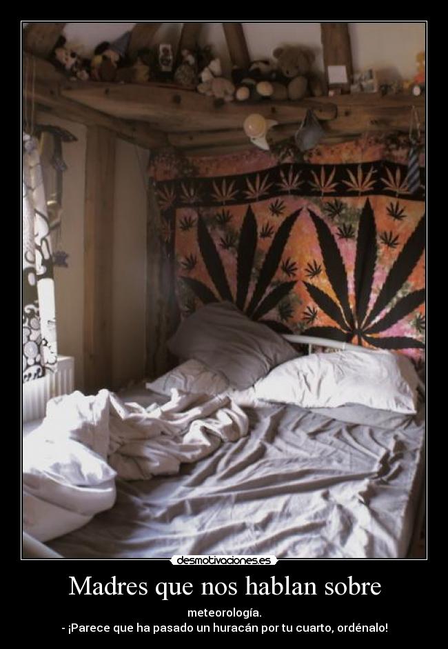 carteles lolol rules alex chizzo adoblena desmotivaciones