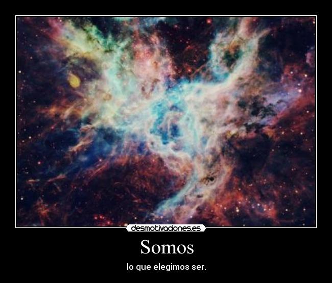Somos - lo que elegimos ser.