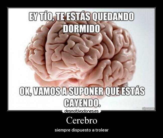 Cerebro - siempre dispuesto a trolear