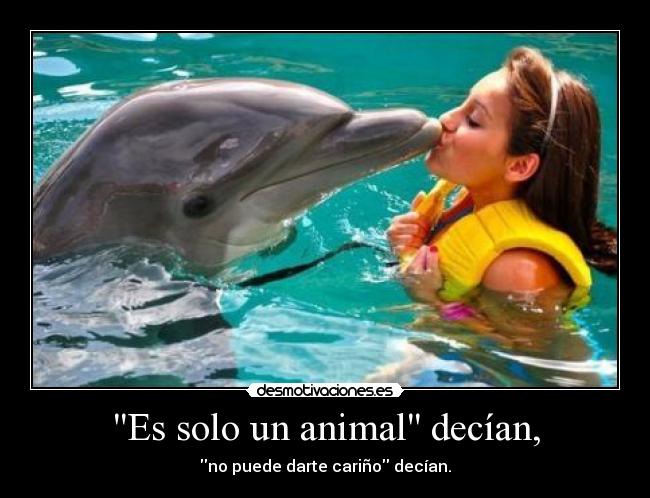 Es solo un animal decían, - 