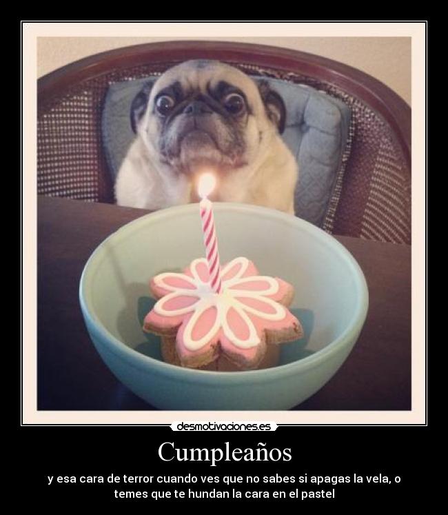 carteles cumple desmotivaciones