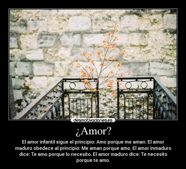 ¿Amor? - El amor infantil sigue el principio: Amo porque me aman. El amor
maduro obedece al principio: Me aman porque amo. El amor inmaduro
dice: Te amo porque lo necesito. El amor maduro dice: Te necesito
porque te amo.