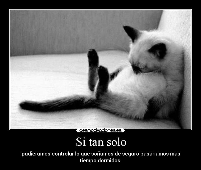 Si tan solo - pudiéramos controlar lo que soñamos de seguro pasaríamos más tiempo dormidos.