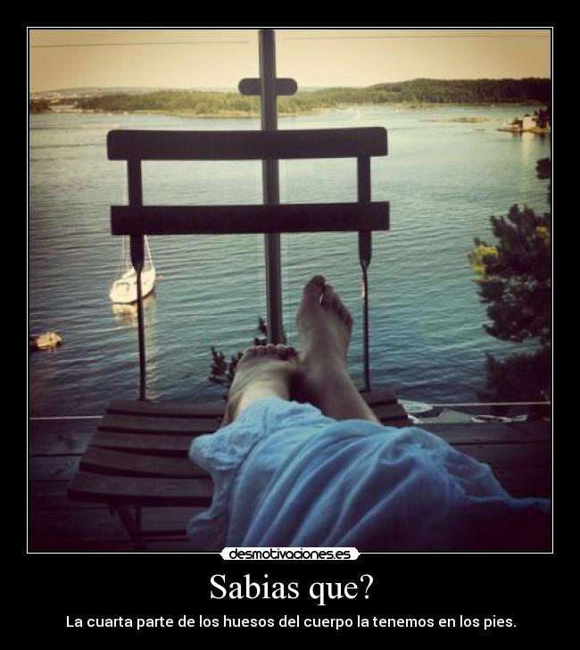 Sabias que? - La cuarta parte de los huesos del cuerpo la tenemos en los pies.