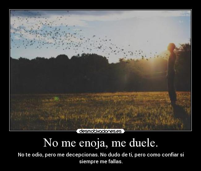 No me enoja, me duele. - 