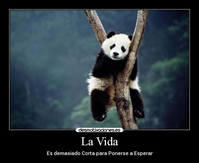 La Vida -