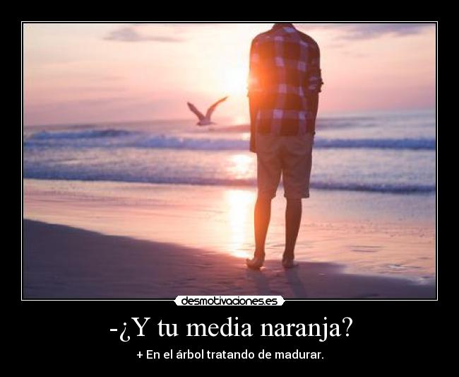 -¿Y tu media naranja? - + En el árbol tratando de madurar.