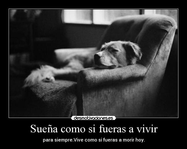 Sueña como si fueras a vivir - para siempre.Vive como si fueras a morir hoy.