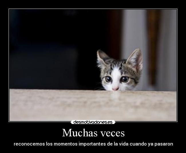 Muchas veces - reconocemos los momentos importantes de la vida cuando ya pasaron