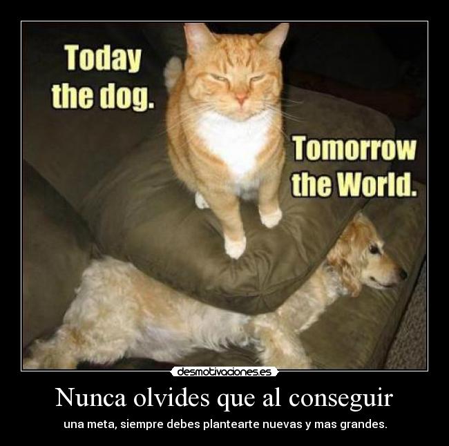 Nunca olvides que al conseguir -