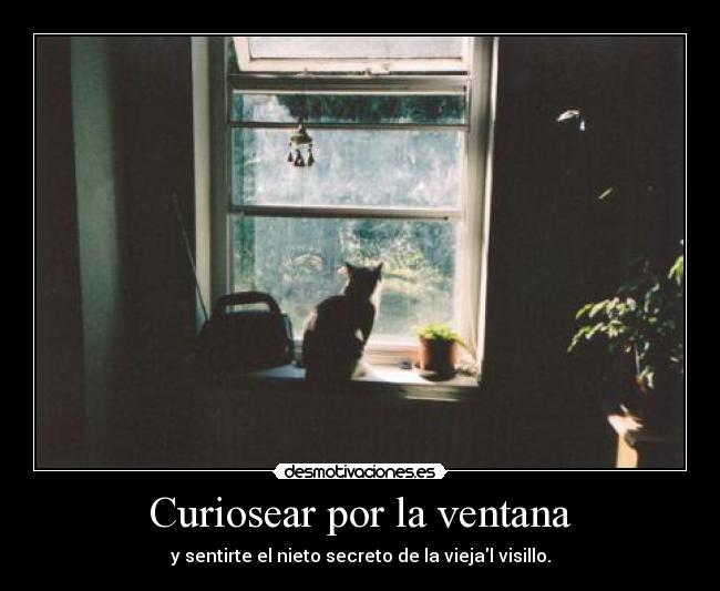 Curiosear por la ventana - 