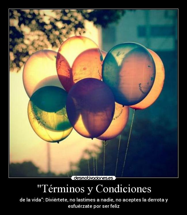 Términos y Condiciones - 