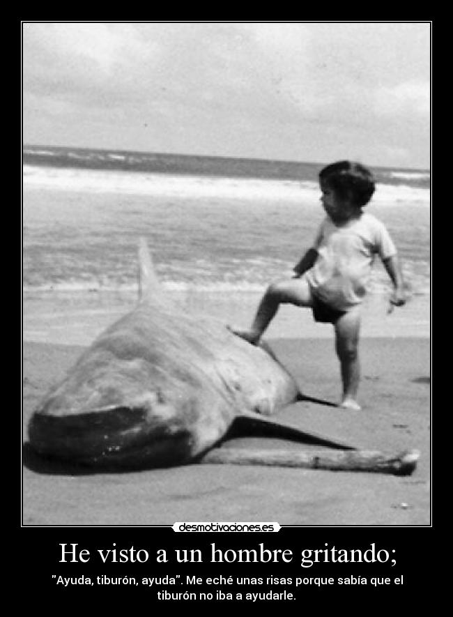 He visto a un hombre gritando; - Ayuda, tiburón, ayuda. Me eché unas risas porque sabía que el
tiburón no iba a ayudarle.