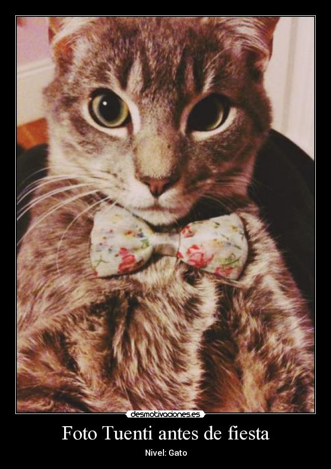Foto Tuenti antes de fiesta - Nivel: Gato