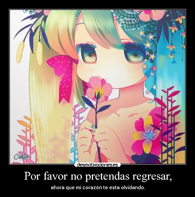 Por favor no pretendas regresar, - 