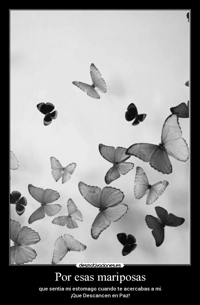 Por esas mariposas -