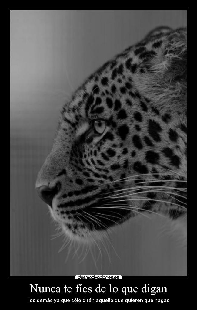 Nunca te fíes de lo que digan -