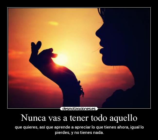 carteles nunca vas tener todo aquello desmotivaciones