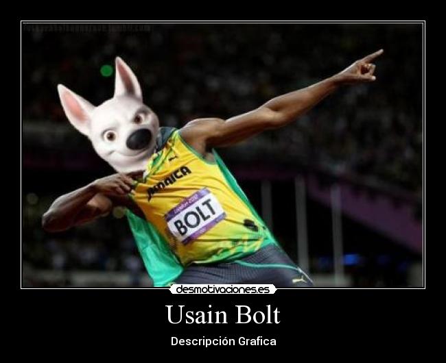 Usain Bolt - Descripción Grafica