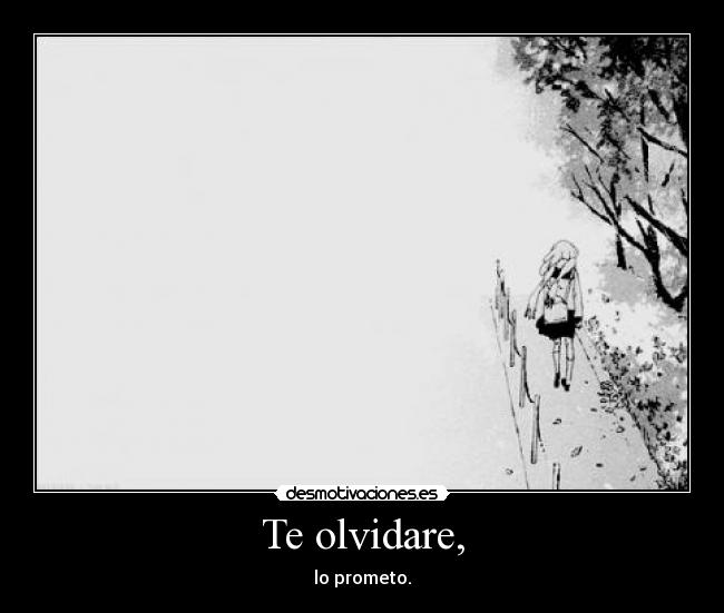 Te olvidare, -