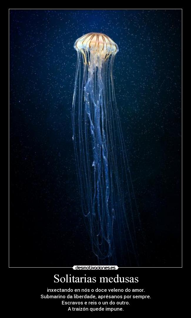 Solitarias medusas - inxectando en nós o doce veleno do amor.
Submarino da liberdade, aprésanos por sempre.
Escravos e reis o un do outro.
A traizón quede impune.