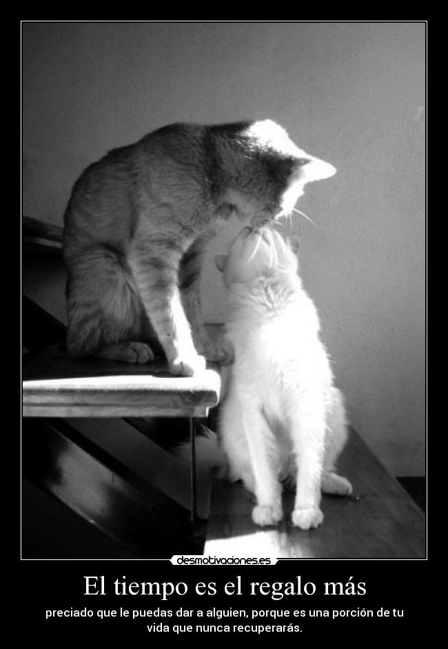 El tiempo es el regalo más -