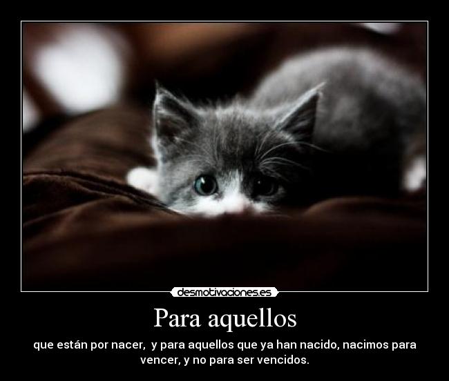 Para aquellos - que están por nacer,  y para aquellos que ya han nacido, nacimos para
vencer, y no para ser vencidos.