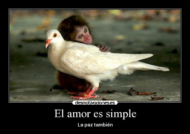 El amor es simple -