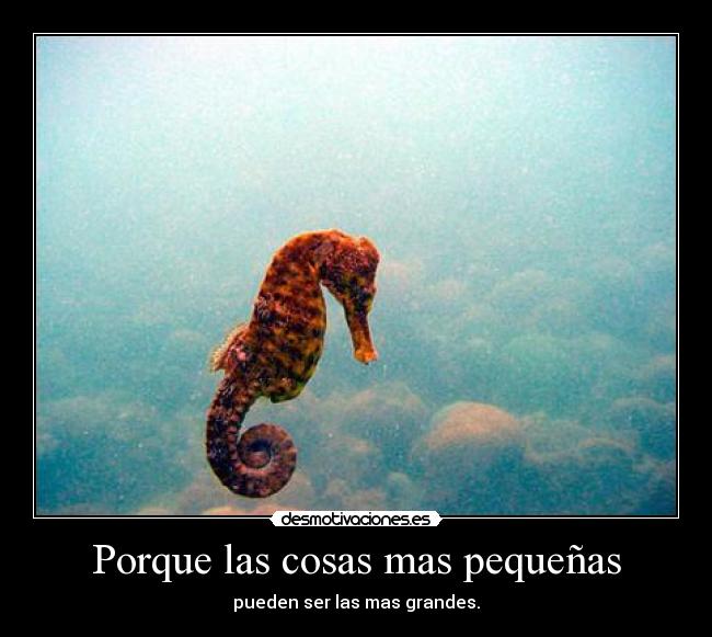Porque las cosas mas pequeñas - pueden ser las mas grandes.