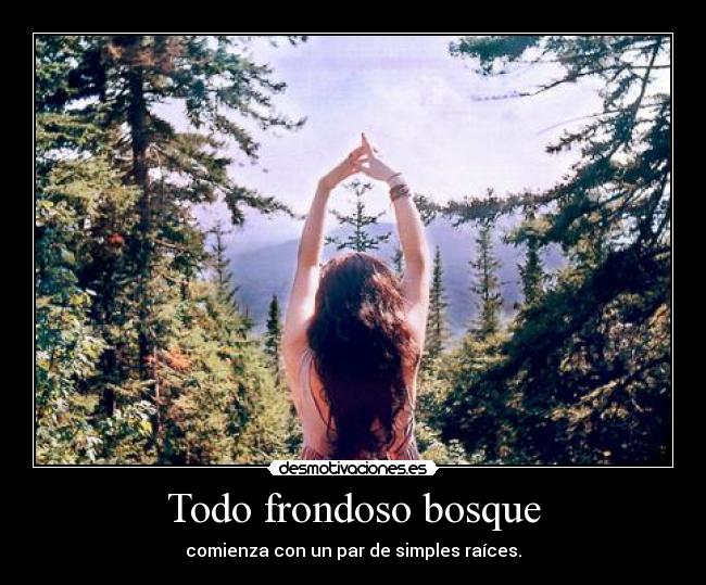 Todo frondoso bosque - 