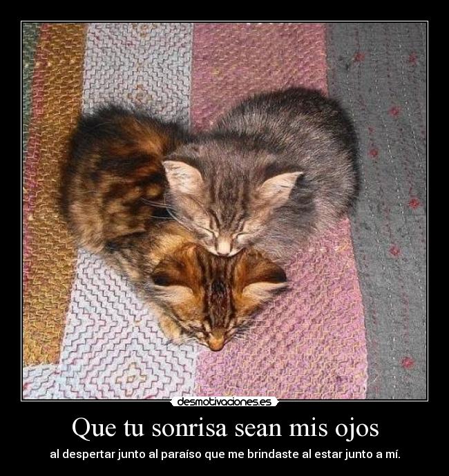 carteles sonrisa que sin sonrisa presencia mente entra demencia desmotivaciones