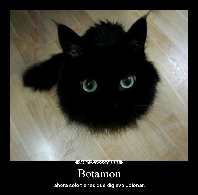 Botamon - 