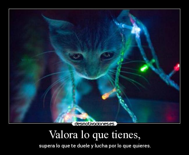 Valora lo que tienes, - supera lo que te duele y lucha por lo que quieres.
