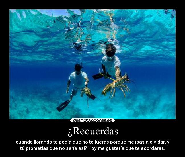 ¿Recuerdas - 