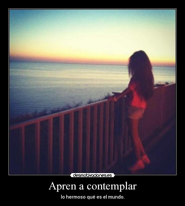 Apren a contemplar - lo hermoso qué es el mundo.