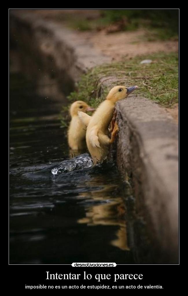 Intentar lo que parece - 