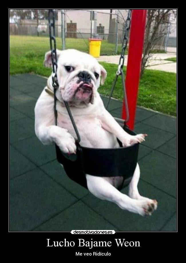 Lucho Bajame Weon - Me veo Ridículo