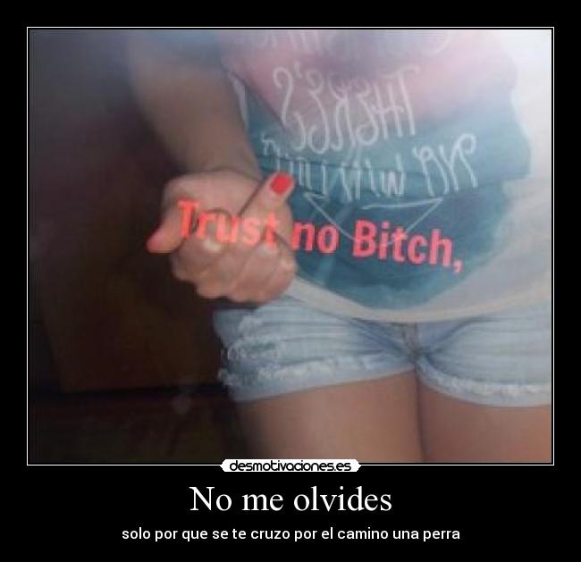 No me olvides - 