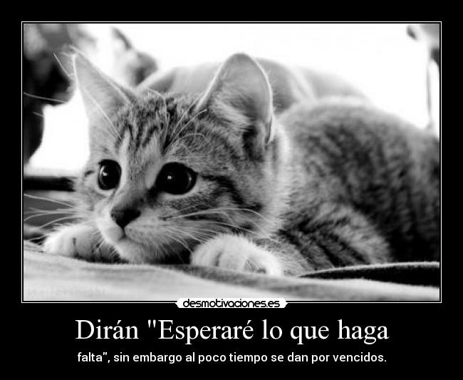 carteles tulocura darse por vencidos demasiado pronto desmotivaciones