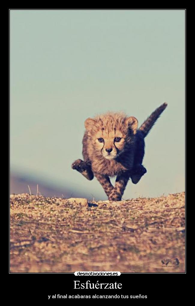 Esfuérzate -